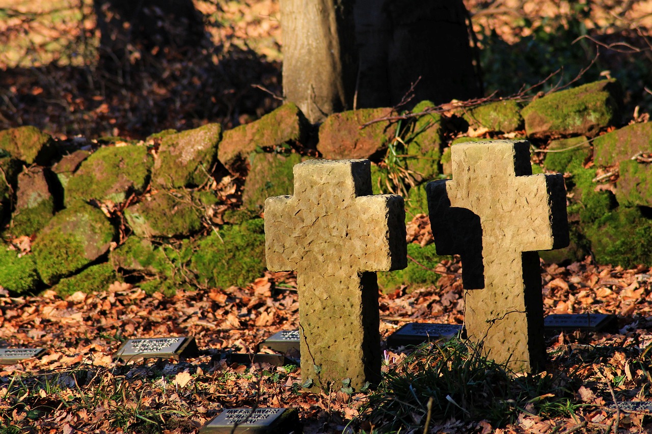 Unraveling the Mystery of False Memories